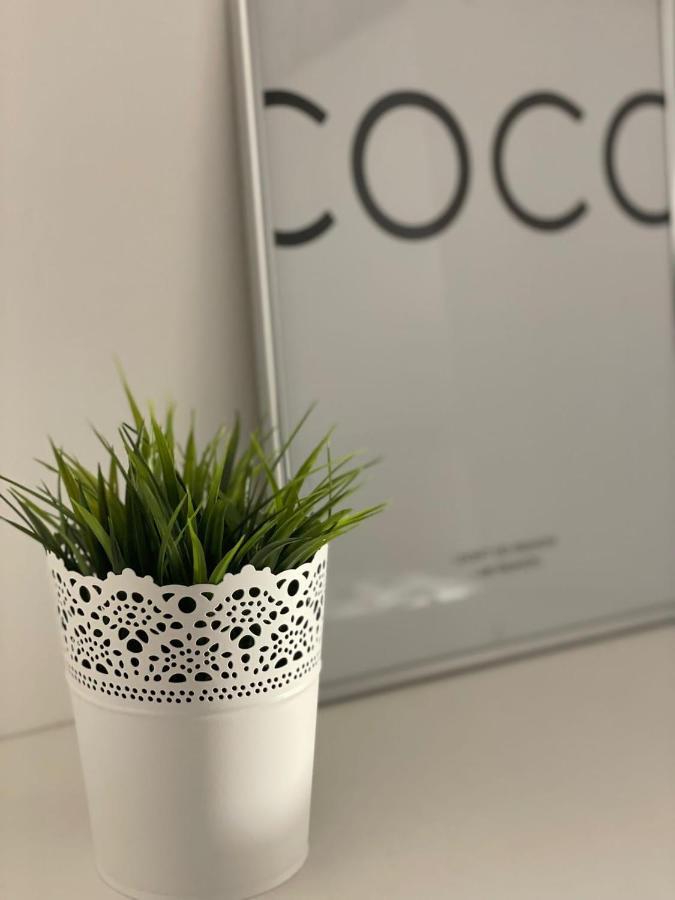 Apartmán Apartman Casalope Záhřeb Exteriér fotografie